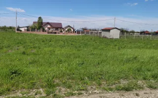 🌿 Teren de vânzare – Răcari, Str. Mestecenilor - Intrarea cu Tei - Poză 12