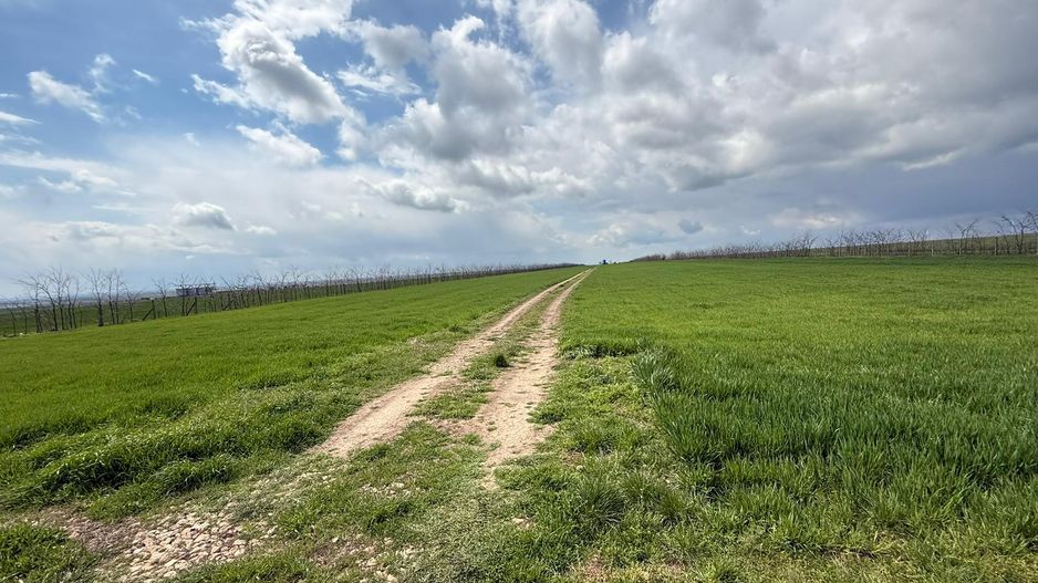 Teren de vanzare in Săcele ideal pentru silozuri, fermă 6 ha - Poză 23