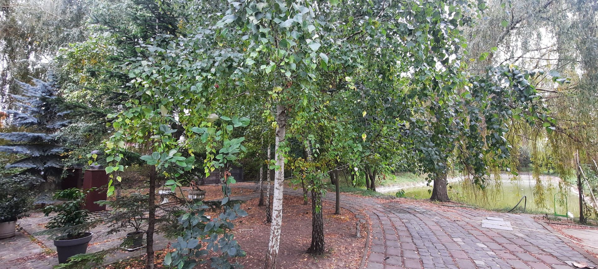 Teren 6779mp - Zona IKEA - Poză 1