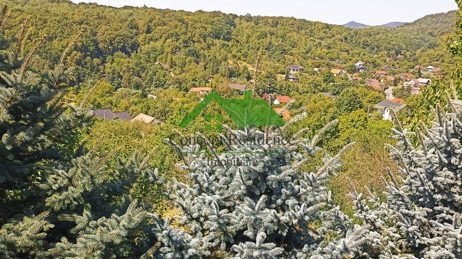 Vilă P+M, 10 ari teren, panoramă superbă – Valea Borcutului - Poză 14