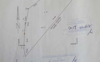 Teren extravilan de vânzare – Tomesti sat, zona deluroasa - Poză 3