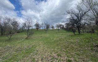 TEREN INTRAVILAN 4365 MP POENARII DE MUȘCEL  JUDEȚUL ARGES