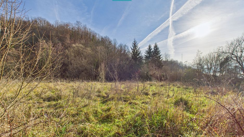 Casă P+E+M cu teren 8163 mp – Roşia Nouă (Petriş) - Poză 14