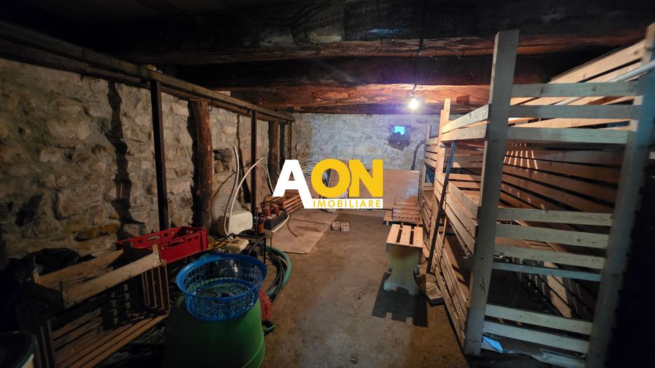 COMISION 0% Casa cu teren generos | 7050mp | Pianu de Sus - Poză 14