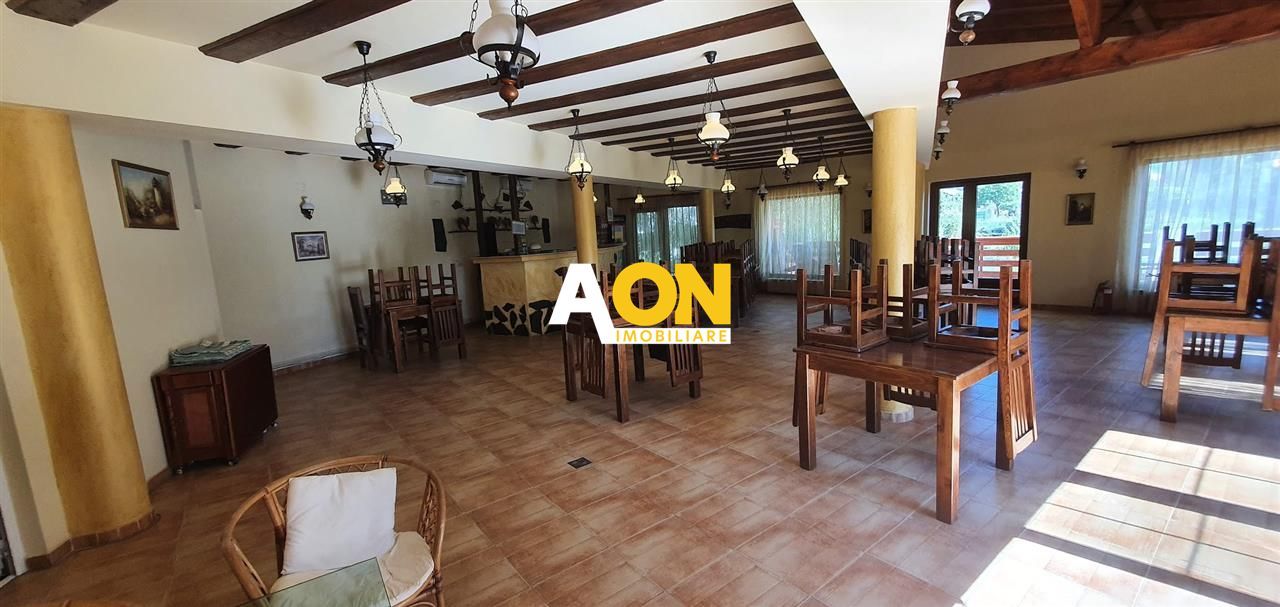 Pensiune cu 9 camere, 1257 mp teren, Micesti - Poză 14