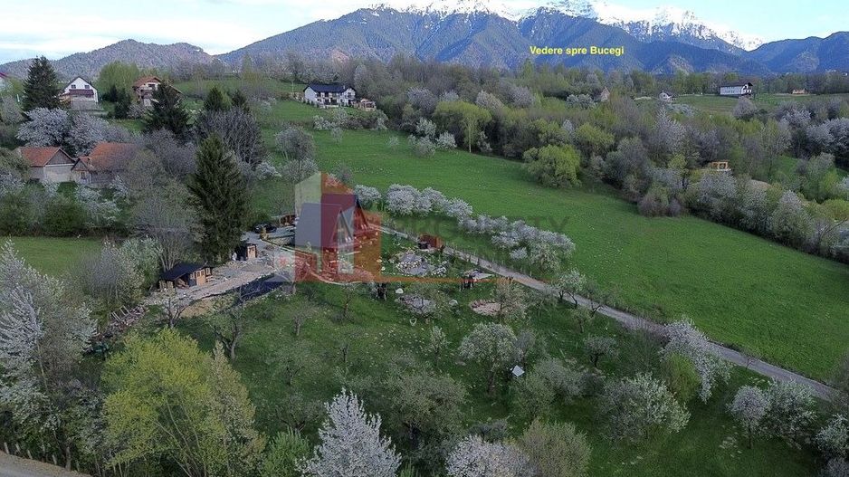 2  A-Frame | Bran Sohodol| 2 cabane | Teren 3.812 mp | Operațional | - Poză 15