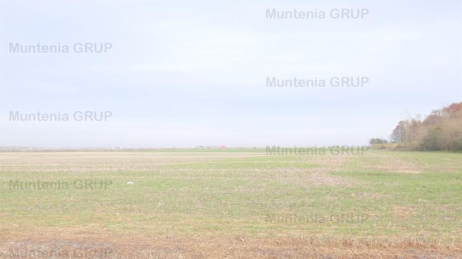 Unicat ! A3 Gherghita - 27 Ha. teren intravilan cu PUZ aprobat - Poză 4