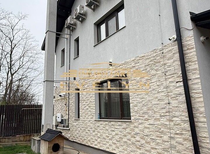 Casă P+1 de vânzare – Sat Băiceni, Com. Curtești - Poză 3