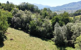 TEREN DE VÂNZARE – ZĂRNEȘTI 2200 Mp - Poză 10