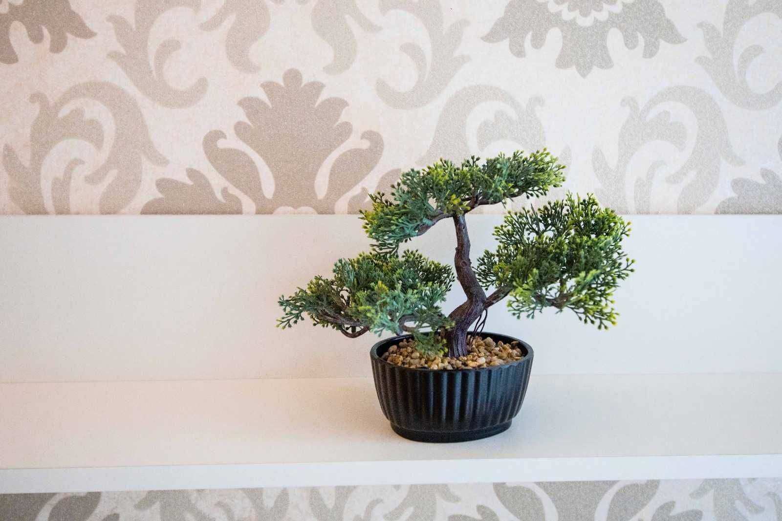 Apartament superb, 2 camere, Piața Unirii - Poză 6