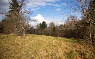 Teren intravilan, cu PUZ, Bran Tohanita,  SE ACCEPTĂ ȘI SCHIMB - Poză 17