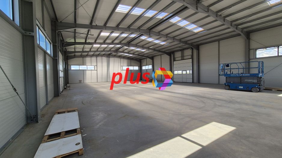 Hala - 1400 mp  # plus-imo.ro - Poză 20