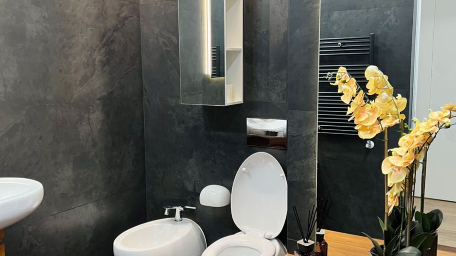 Penthouse Herastrau 4 Camere Vedere Panoramica - Poză 6