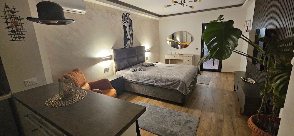 De inchiriat apartament 1 camera Ultimul Leu, etaj 5/7, 400 euro - Poză 8