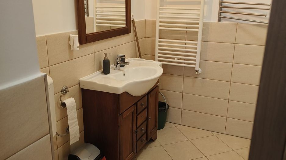 Garsoniera zona Centrul Istoric - Poză 7