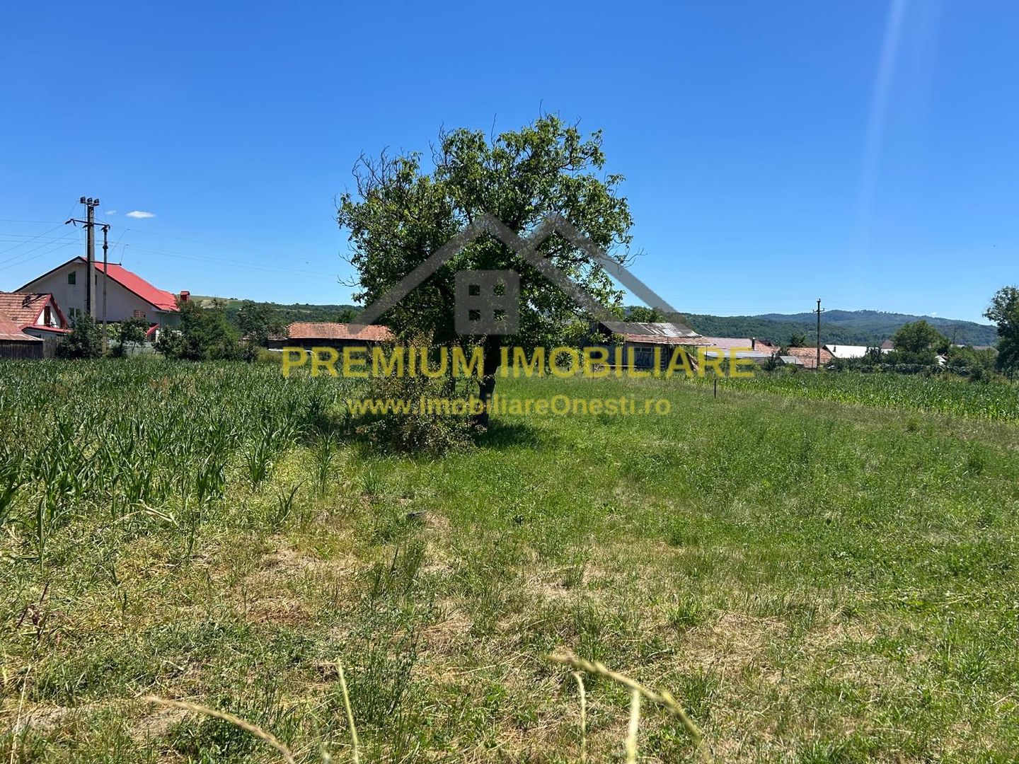 Teren intravilan de vânzare – Cașin, județul Bacău - Poză 2