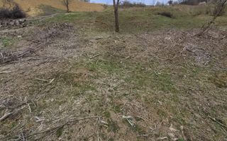 Oferta 9 parcele teren - pretabil casa de vacanta- 5 min de centru ! - Poză 6