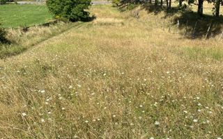 Teren intravilan 2600 mp - pretabil casa/investitie-Zona Aerodrom - Poză 7