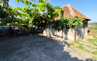 Casa la tara, Calea Mare, Bihor, teren mare, 2 intrari auto – vanzare - Poză 4