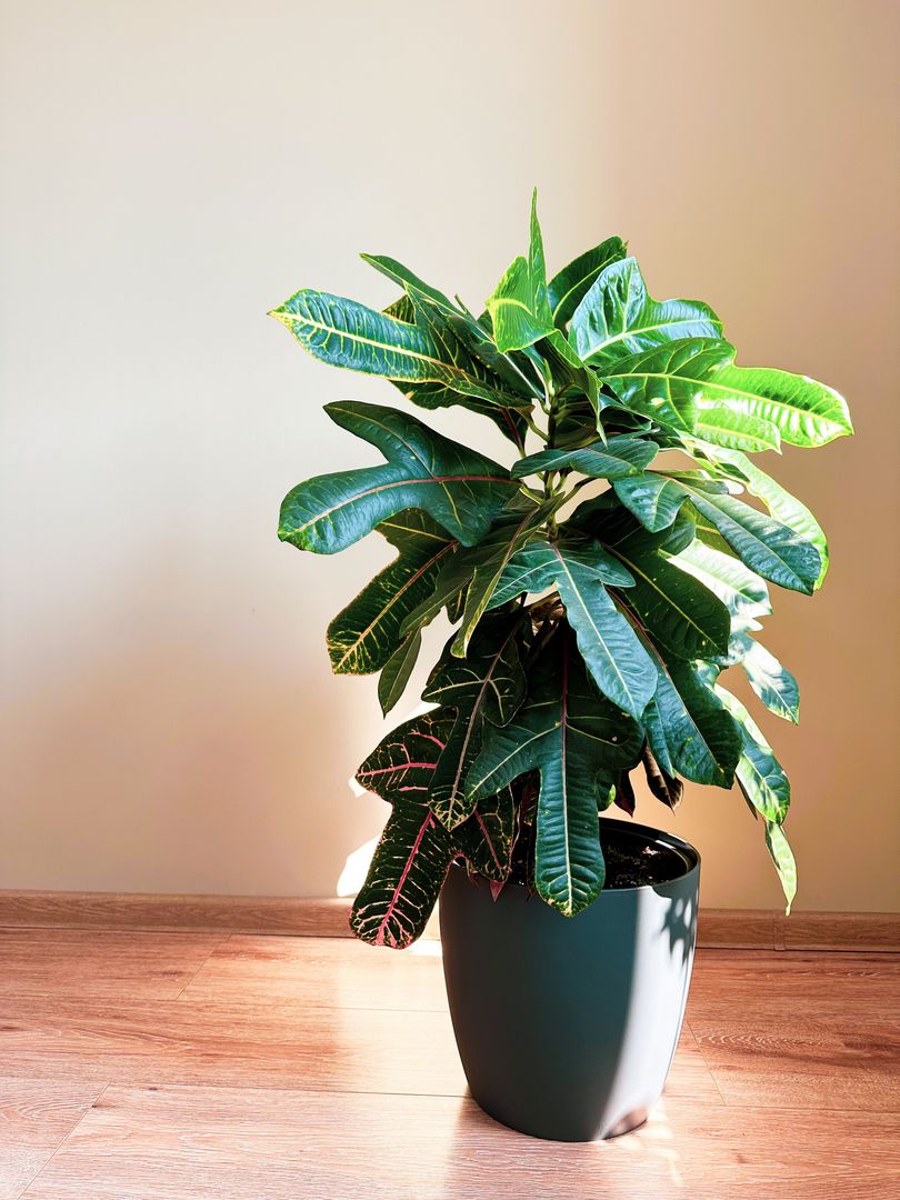 Dumbravita - Casa 5 camere, 179 mp | Mobilat & Utiliat | Garaj - Poză 44