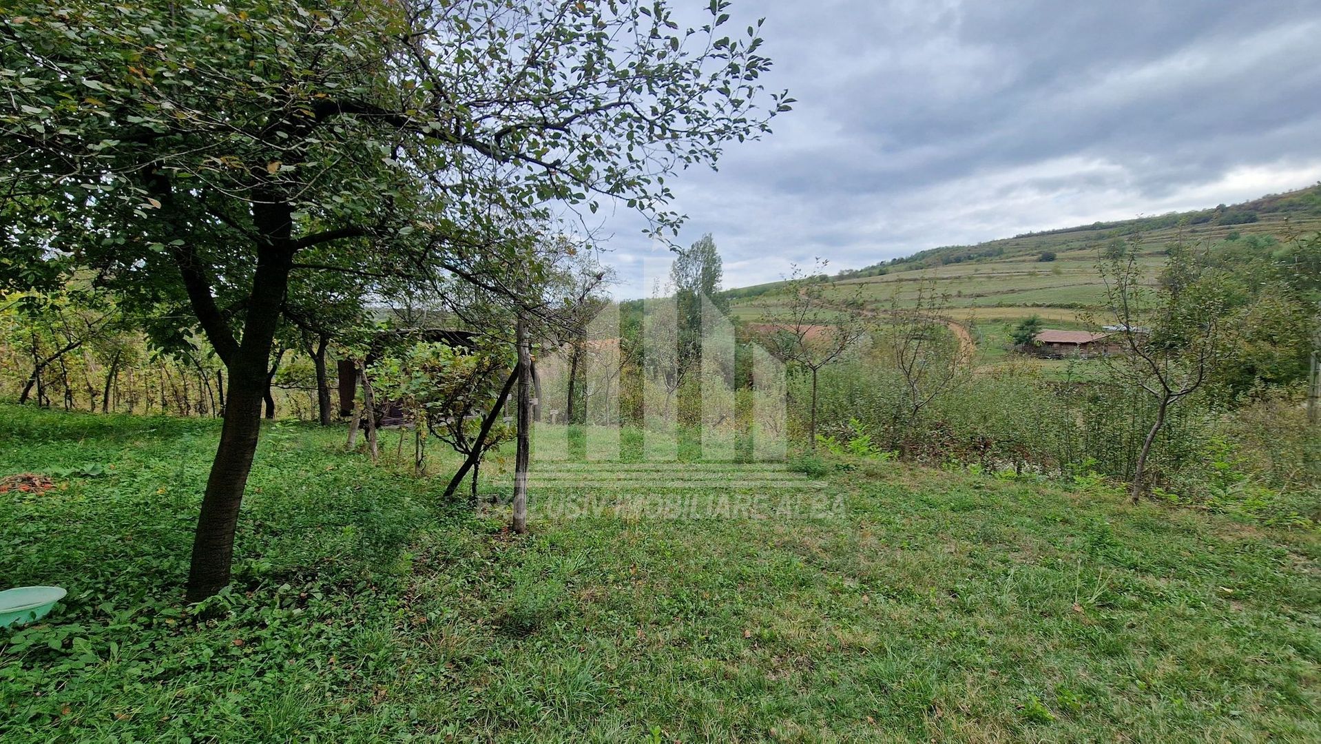 Casa cu livada in Cetea - Poză 9