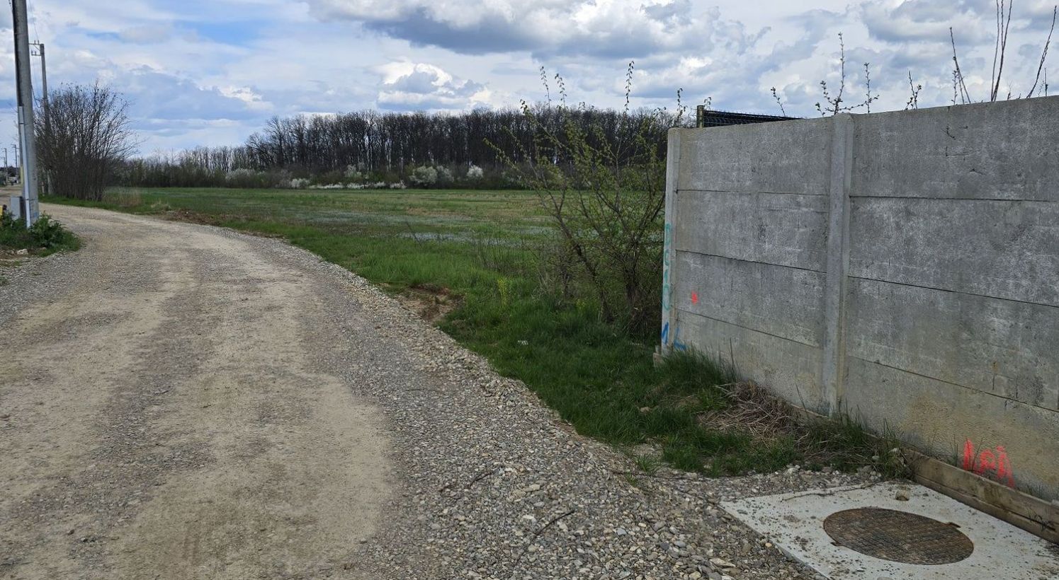 Teren Snagov Ciofliceni cu  pădurea la vedere - Poză 8