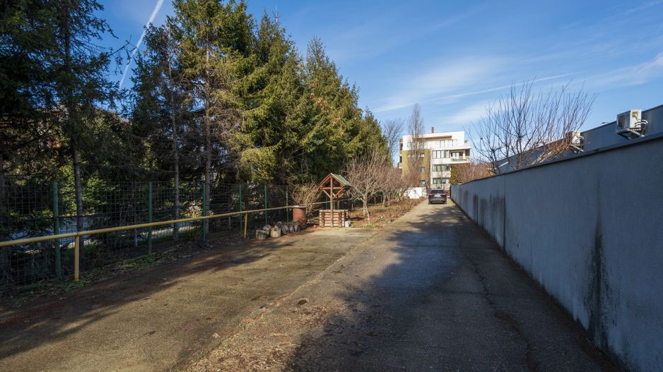 Vila de inchiriat Erou Iancu Nicolae - Poză 69