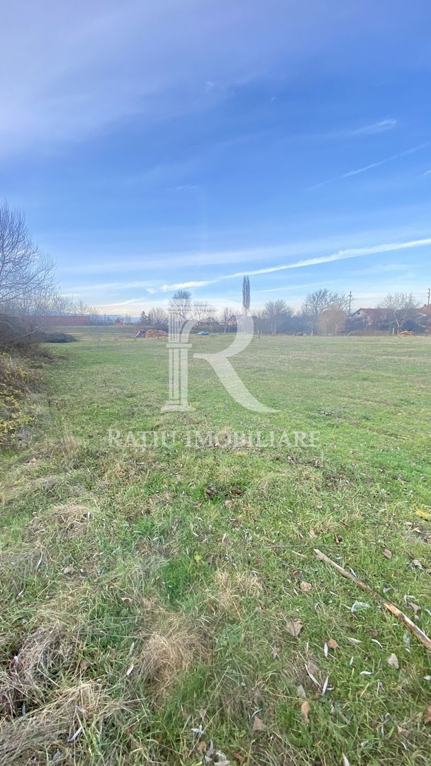EXCLUSIV | TEREN INTRAVILAN | INVESTIȚIE | BEIUȘ – STR. PLOPILOR | 13.500 MP - Poză 4