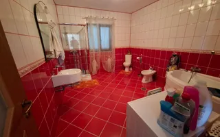 🏡 Casă de vânzare – Nicolae Bălcescu, la E85 - Poză 19