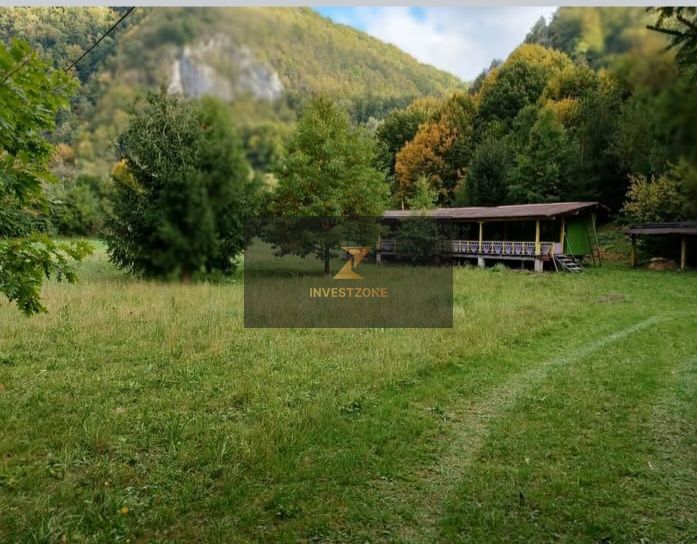 Teren de vis de vanzare in Remeti-Bihor-27p0 mp - Poză 5