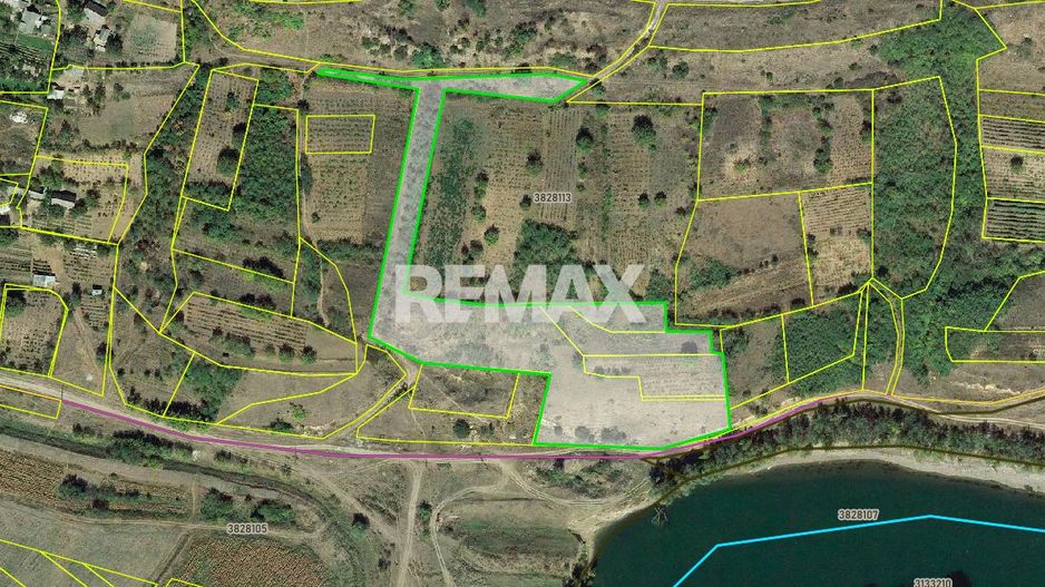 Proiect Agropensiune cu panoramă spre Nistru | Teren 1.2 ha | Doroțcaia - Poză 15
