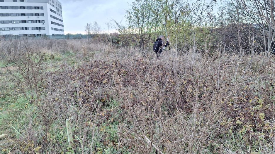 De Vanzare Teren  Bragadiru - Poză 3