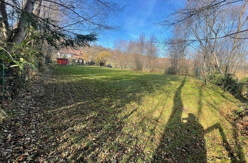 Teren 3349 mp de Vânzare | Bran – Panoramă Munții Bucegi - Poză 5