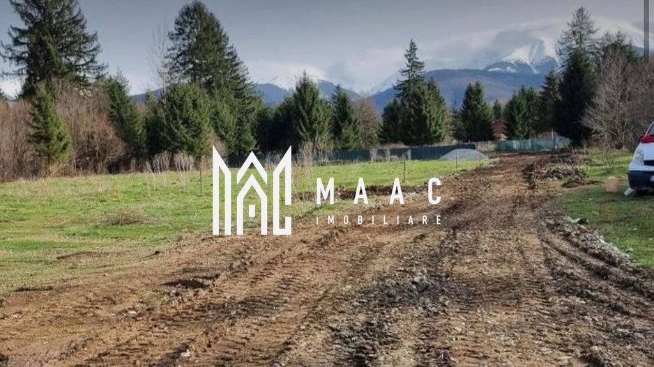 TEREN INTRAVILAN 4007 MP I VALEA AVRIGULUI - Poză 7