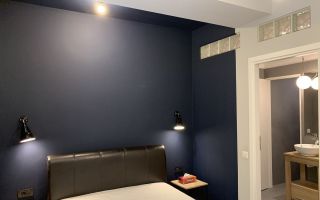 2 camere Herastrau-Aron Cotrus - Poză 5