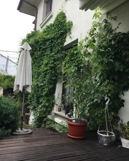Casa de arhitect in Sector 1 - Poză 3