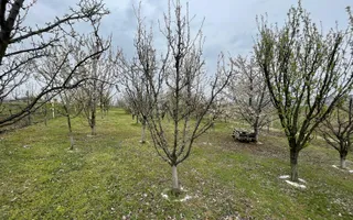 Teren Intravilan I 24 Ari I Suceava/Lisaura 10.000E/Ar - Poză 24