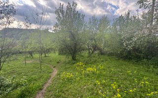 TEREN INTRAVILAN 7018 MP CAMPULUNG - Poză 6