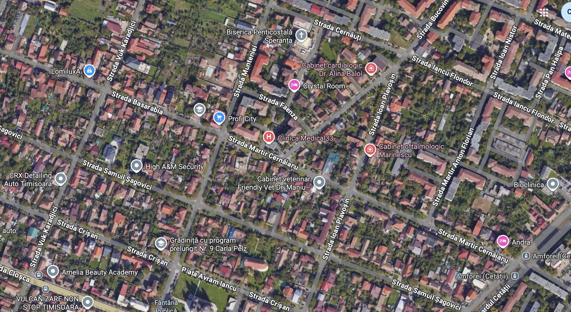 TEREN CU FRONT GENEROS DE 25 ML IN ZONA MEHALA - Poză 2