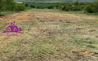 Teren extravilan  zona Episcopia - Poză 1