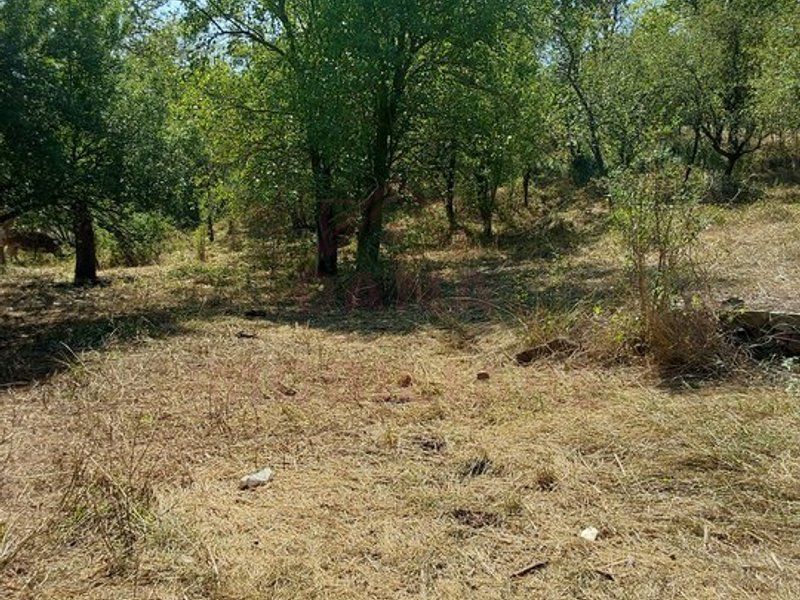 CASĂ IABLANIȚA,JUD. CARAȘ-SEVERIN - Poză 12