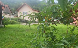 Black Friday Casa 2 corpuri individuale| 30 km de Sibiu | Teren 1500 mp - Poză 5