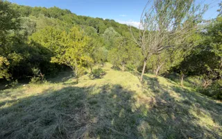 TEREN 3200 MP GODENI ARGEȘ - Poză 26