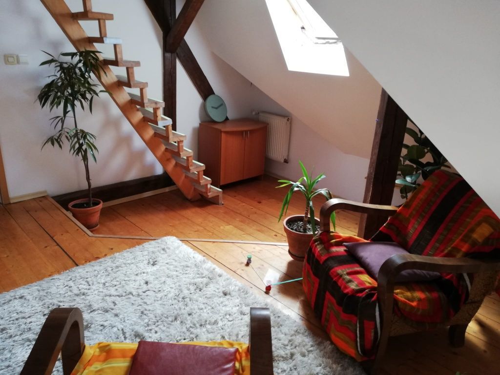 Apartament 4 camere | 175 mp | Bulevardul Victor Babeș | Ideal pentru - Poză 5