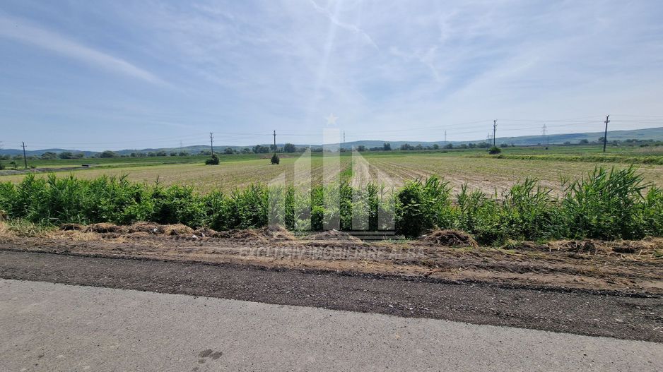 Teren pentru constructii industriale pe soseaua de centura - Poză 3