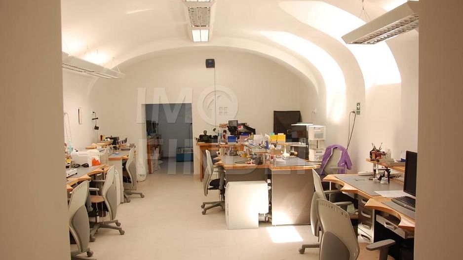 Proprietate unica 271 mp construiti, Centru, zona Horea - Poză 11