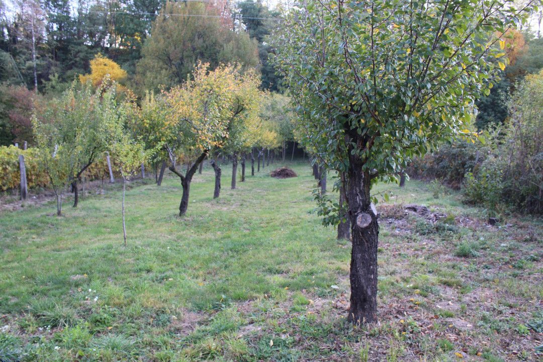 Casă cu suflet și priveliște de poveste – Crasna, Gorj - Poză 33