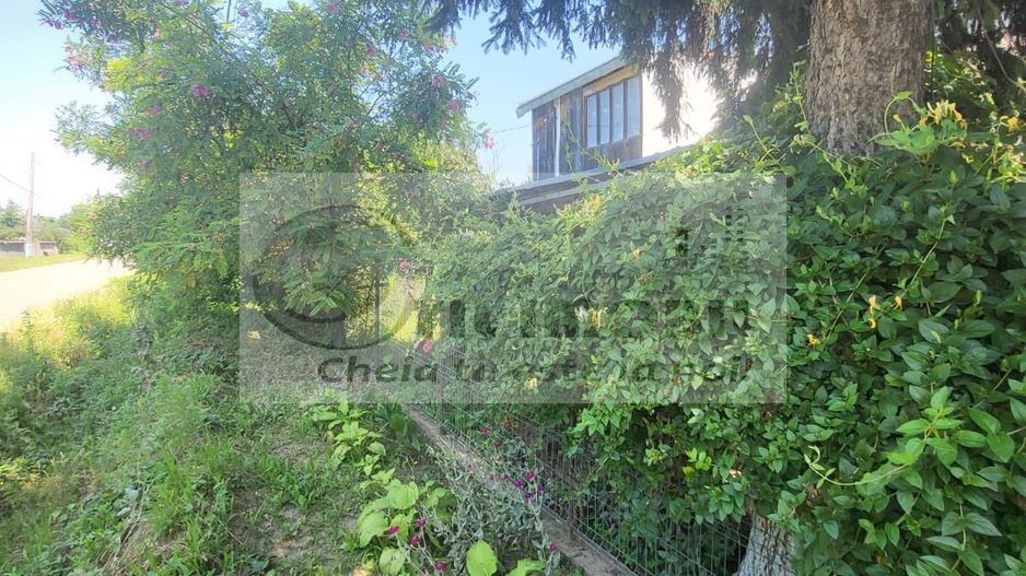 Casă individuala 4000mp teren com Alexandru Ioan Cuza sat Kogalniceni - Poză 28