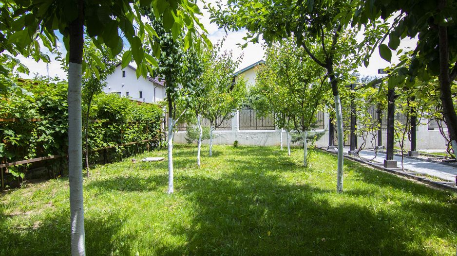 Casă / Vilă, 5 camere, teren 690 Mp., Prelungirea Ghencea - Maracineni - Poză 10