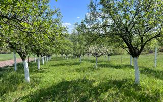 Casă de vacanță + livadă | teren 3000 mp | Chijic | Bihor - Poză 17